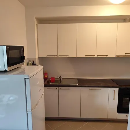 Spacious Oasis Apartment
